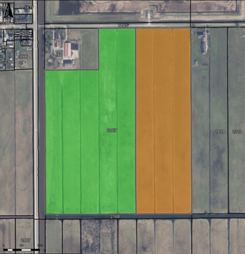 Afbeelding3, Groen en Oranje